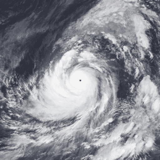 Read more about the article Monster Typhoon Tip : The Record-Breaking Superstorm